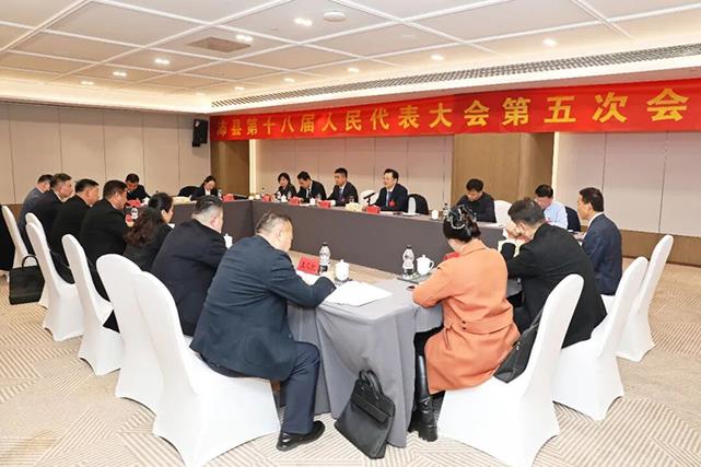 县领导参加代表团分组审议